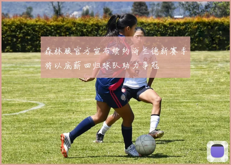 森林狼官方宣布续约海兰德新赛季将以底薪回归球队助力争冠
